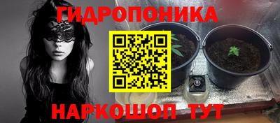 твердый Апшеронск