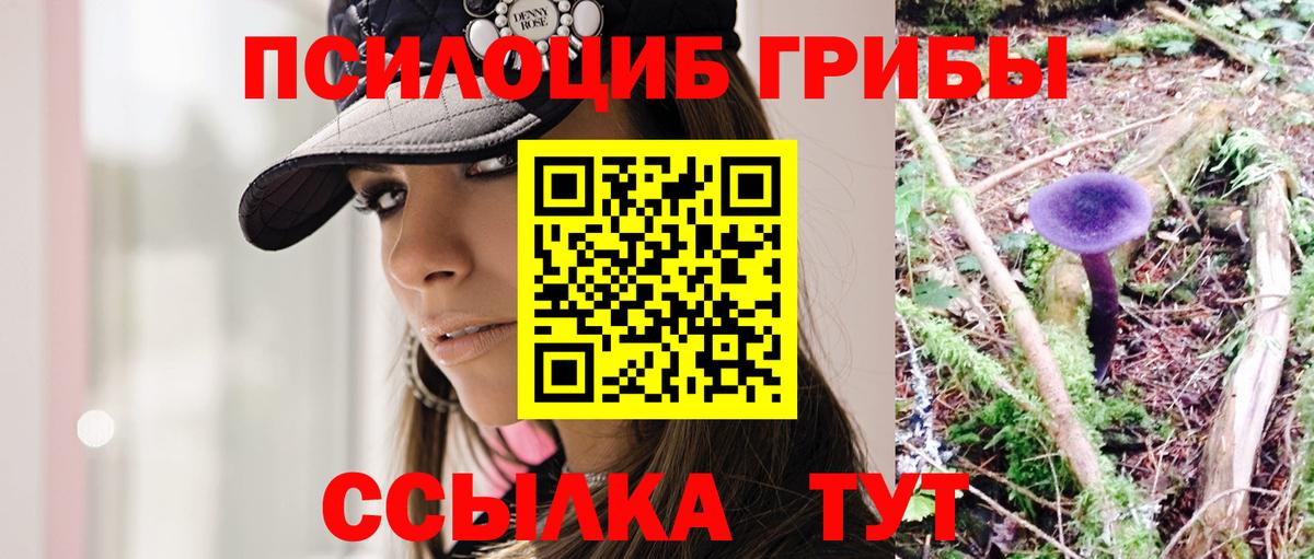 Псилоцибиновые грибы Magic Shrooms Богородск